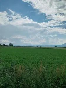Teren Brașov - poza 2