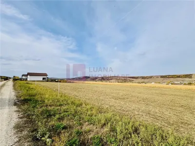 Teren extravilan 12.000 mp de vanzare | Sibiu - Daia | priveliste spectaculoasa - Daia