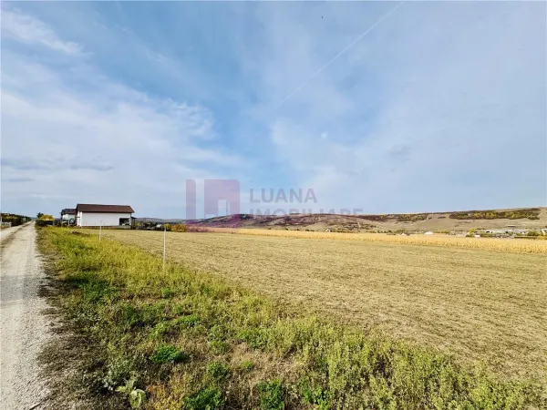 Teren Daia - poza 1