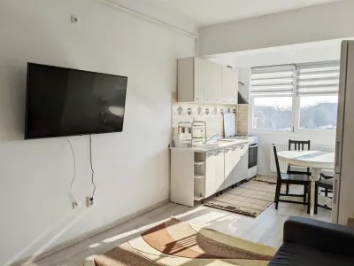 Apartament 2 camere Iași - poza 7