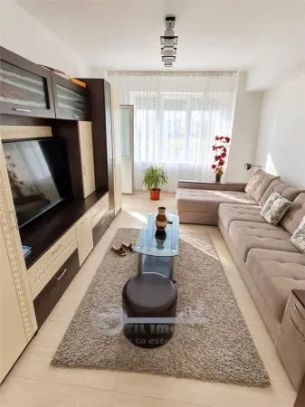 Apartament 1 camera Valea Lupului - poza 1