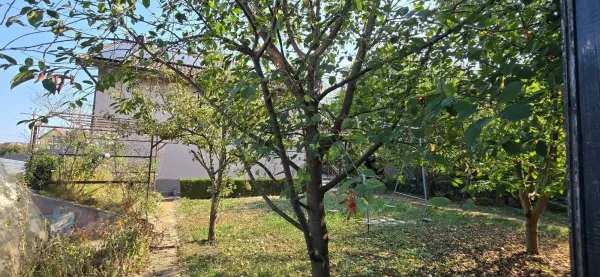 Casă 4 camere Sângeorgiu de Mureș - poza 2