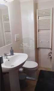 Apartament 1 camera Sibiu - poza 10