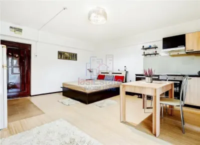 Apartament 1 camera Iași - poza 3