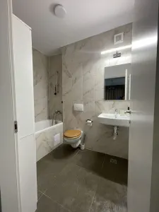 Apartament 2 camere Timișoara - poza 6