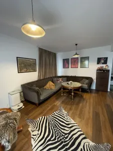 Apartament 2 camere Timișoara - poza 7