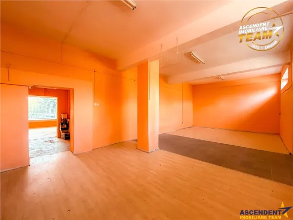Spațiu comercial Sfântu Gheorghe - poza 25