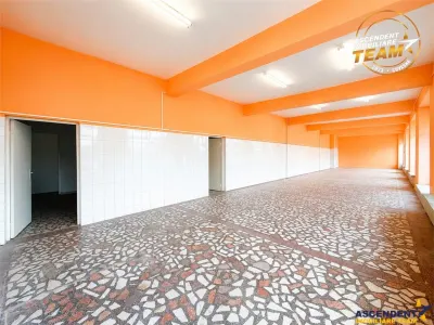 Spațiu comercial Sfântu Gheorghe - poza 4