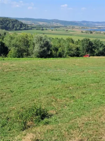 Teren Tălmaciu - poza 2