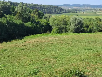 Teren Tălmaciu - poza 5