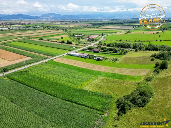 Teren Sancraiu - poza 6