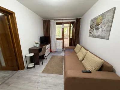 Apartament 1 camera Iași - poza 3