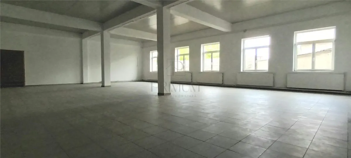Spațiu comercial Timișoara - poza 1
