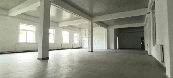 Spațiu comercial Timișoara - poza 2