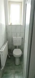 Spațiu comercial Timișoara - poza 11
