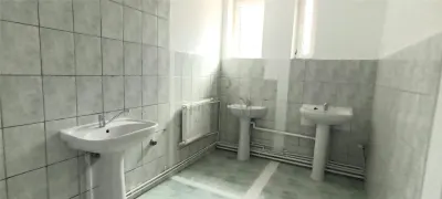 Spațiu comercial Timișoara - poza 12