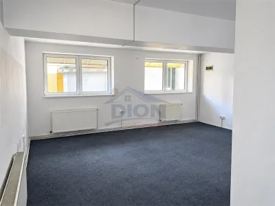 Vila cu posibilitati - Bucuresti