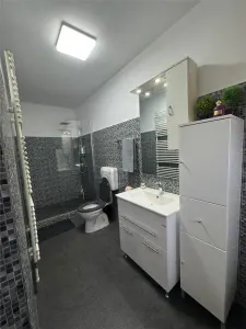 Casă 5 camere Urseni - poza 15