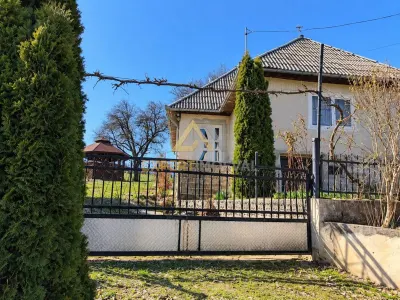 Casa, sura, foisor si teren generos in ODESTI Maramures - Odesti