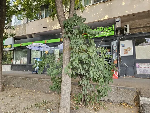 Spațiu comercial Craiova - poza 2
