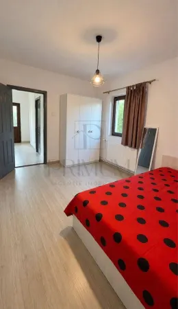 Casă 5 camere Sânmihaiu Român - poza 6