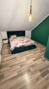 Casă 5 camere Sânmihaiu Român - poza 7