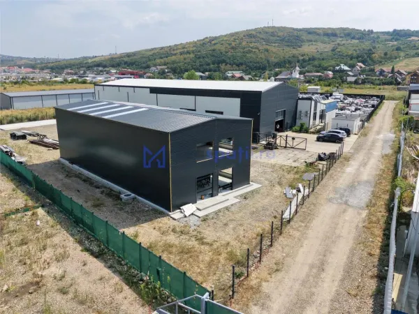 Spațiu industrial Tomești - poza 2