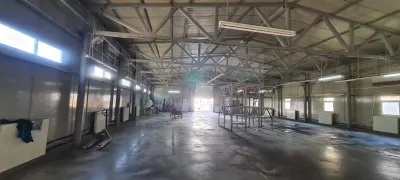 Spațiu industrial Otopeni - poza 2