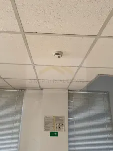 Spațiu industrial Otopeni - poza 10