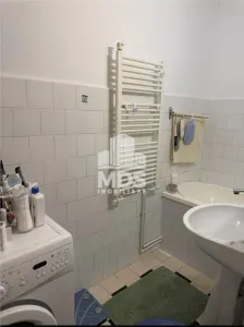 Apartament 1 camera Timișoara - poza 10