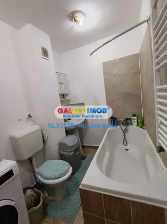 Apartament 1 camera Snagov - poza 4