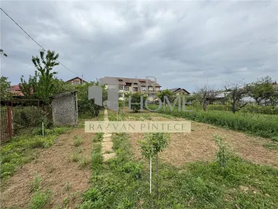Casă 11 camere Paulestii Noi - poza 11