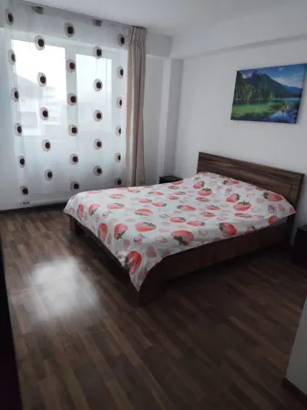 Apartament 1 camera Brașov - poza 4