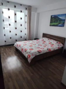 Apartament 1 camera Brașov - poza 4