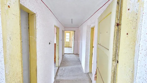 Casă 7 camere Lapusnicu Mare - poza 21
