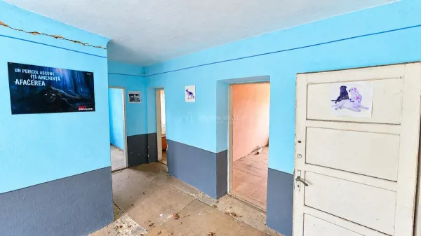 Casă 7 camere Lapusnicu Mare - poza 25