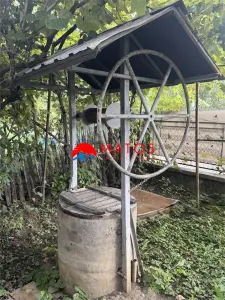 Casă 4 camere Brebu Manastirei - poza 27