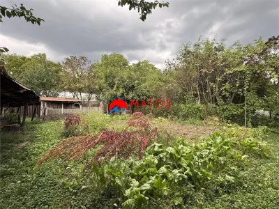 Casă 4 camere Brebu Manastirei - poza 6