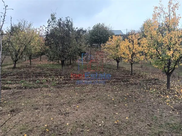 Casă 3 camere Chicerea - poza 11