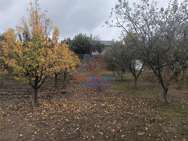 Casă 3 camere Chicerea - poza 12