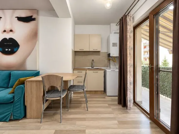 Apartament 2 camere Valea Lupului - poza 2