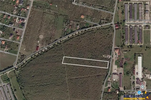Teren Sfântu Gheorghe - poza 5