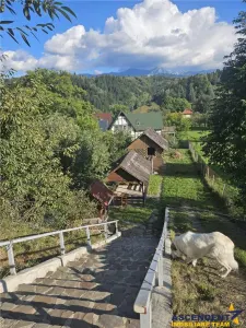 Hotel/Pensiune Brașov - poza 12