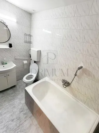 Apartament 1 camera Timișoara - poza 8