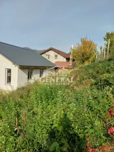 Casă 3 camere Baia Sprie - poza 3