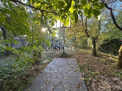 Casă 5 camere Baia Mare - poza 4