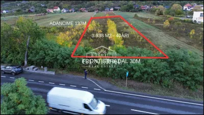Teren de vanzare 4.000m2 in Cicarlau la Drum European E58 BM-SM KM-15 - Cicarlau
