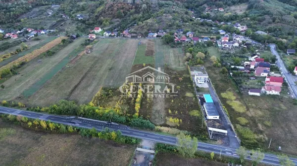 Teren Cicarlau - poza 11