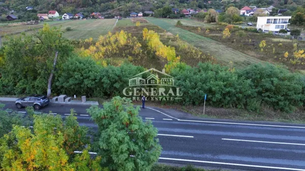 Teren Cicarlau - poza 3