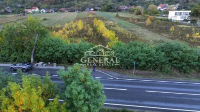 Teren Cicarlau - poza 3